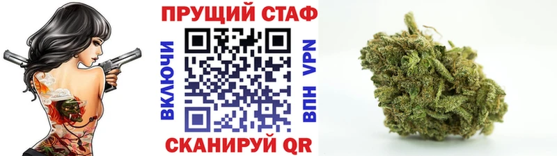 Где можно купить наркотики Злынка Псилоцибиновые грибы МАРИХУАНА ЭКСТАЗИ kraken зеркало Меф Гашиш