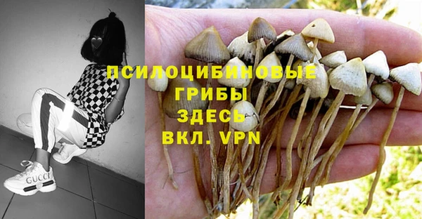 spice Нефтекумск