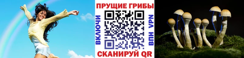 Галлюциногенные грибы прущие грибы Злынка
