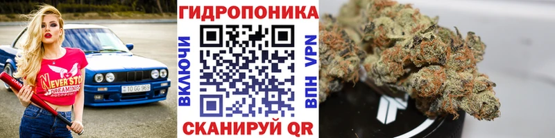 Бошки Шишки MAZAR ОМГ ОМГ ссылки Злынка